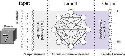 Liquid State Machine on SpiNNaker for Spatio-Temporal Classification Tasks